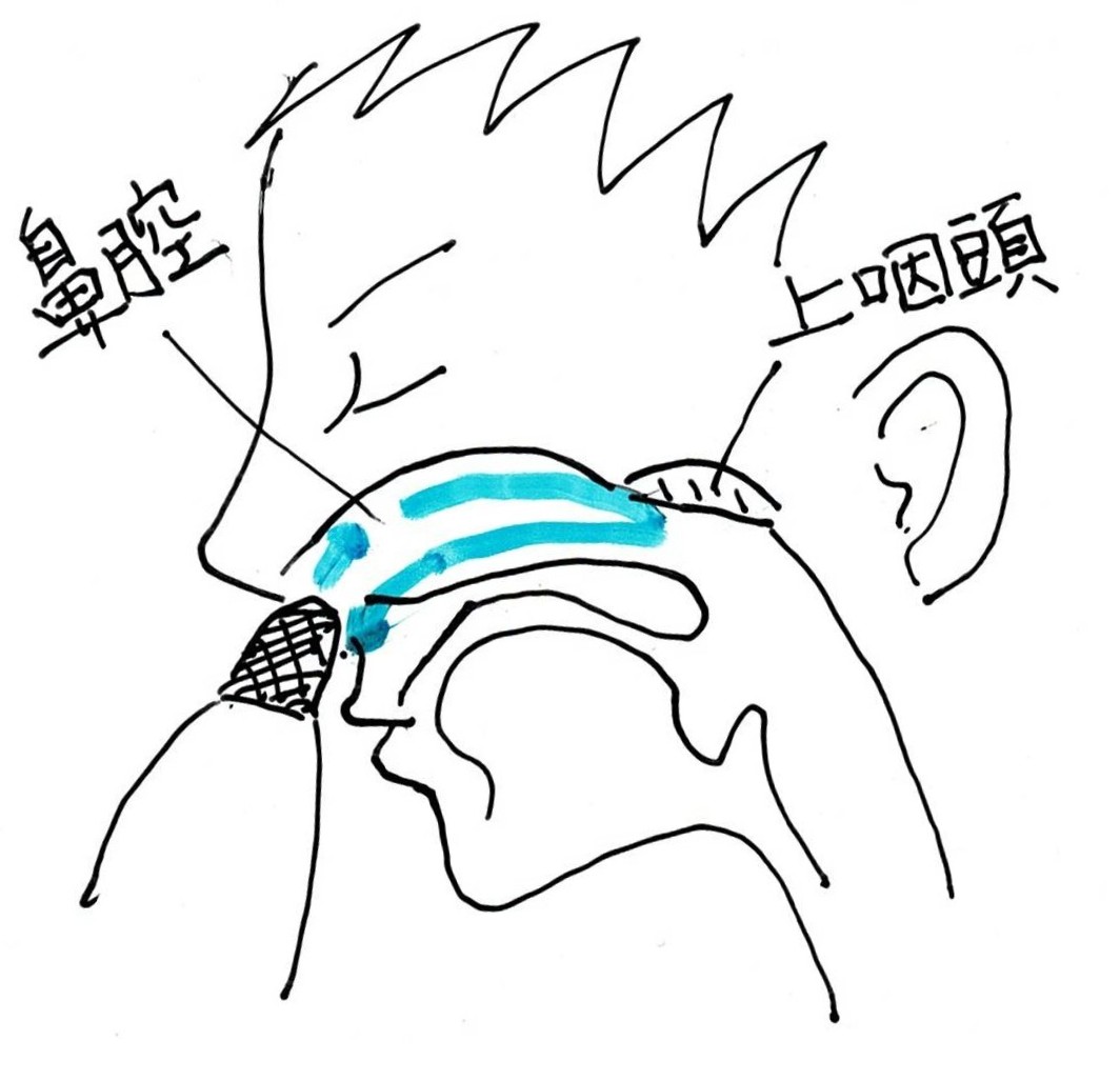 鼻うがいについて